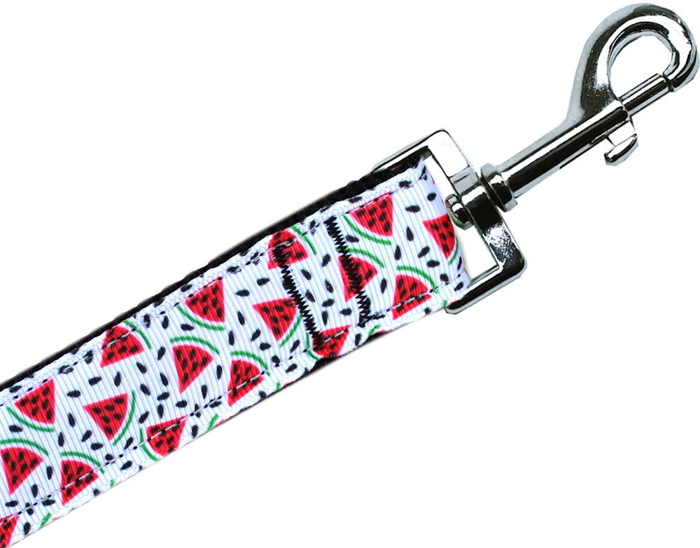 Watermelon Nylon Pet Leash 3/8in by 6ft