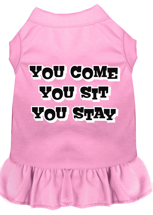 You Come, You Sit, You Stay Screen Print Dress Light Pink XXL