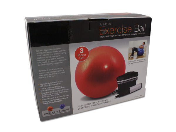 Exercise Ball with Pump ( Case of 3 )