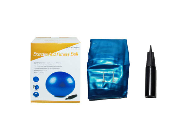 Exercise Ball with Pump ( Case of 4 )