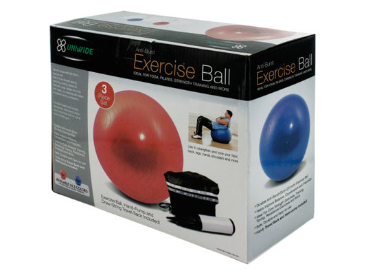 Exercise Ball with Pump Set ( Case of 3 )